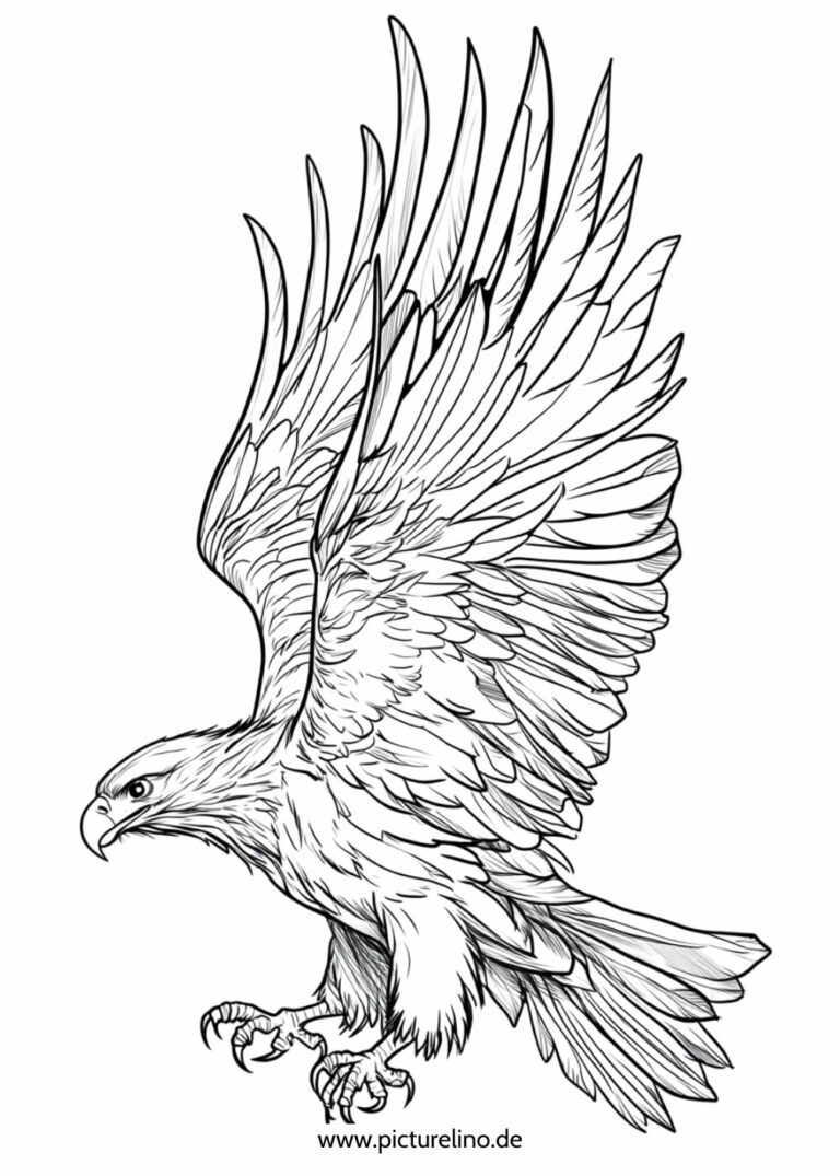 Adler Ausmalbild – Kostenlose Malbilder zum Drucken