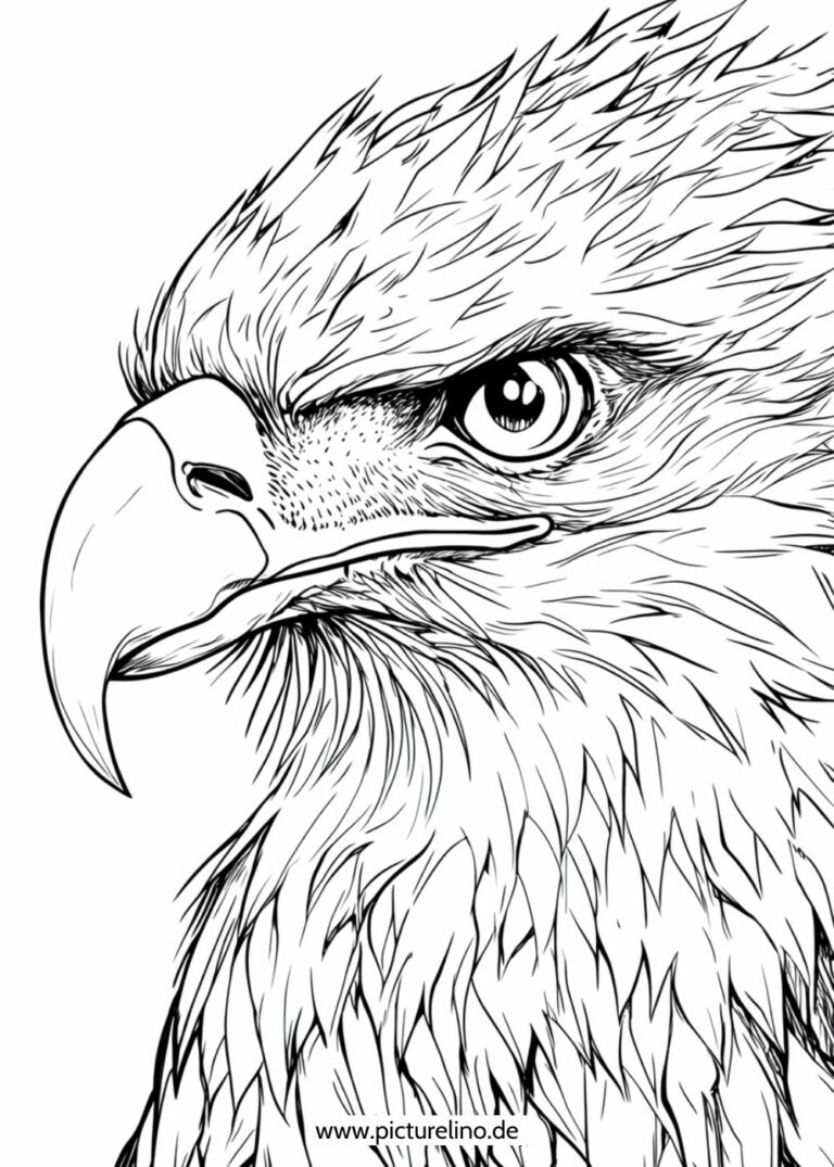 Adler Ausmalbild – Kostenlose Malbilder zum Drucken