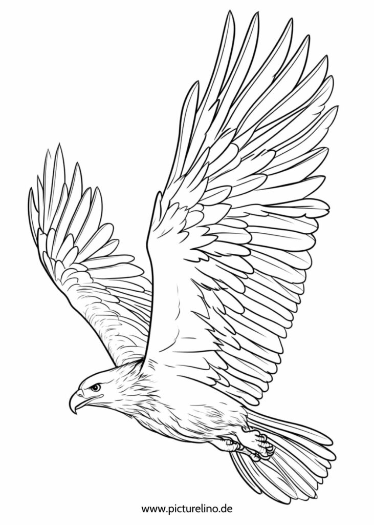 Fliegender Adler